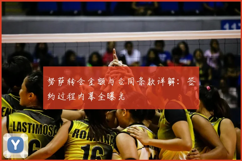 努萨转会金额与合同条款详解:签约过程内幕全曝光